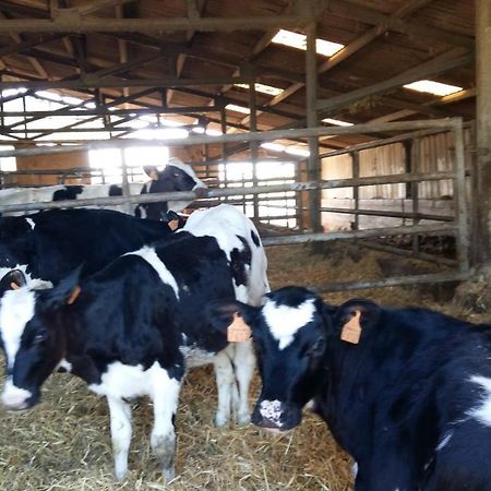 Valderies Charmante Maison A La Ferme מראה חיצוני תמונה