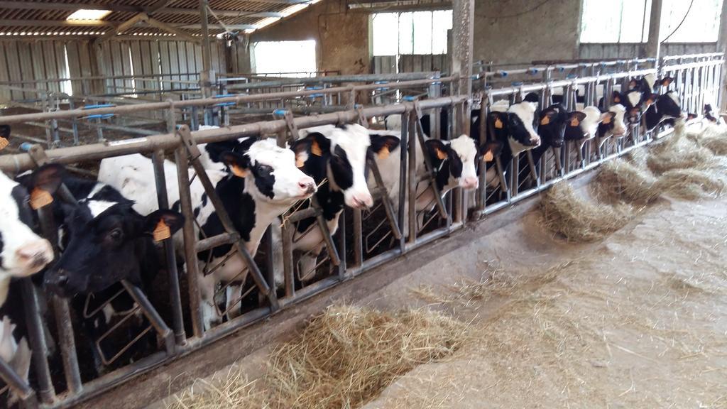 Valderies Charmante Maison A La Ferme מראה חיצוני תמונה