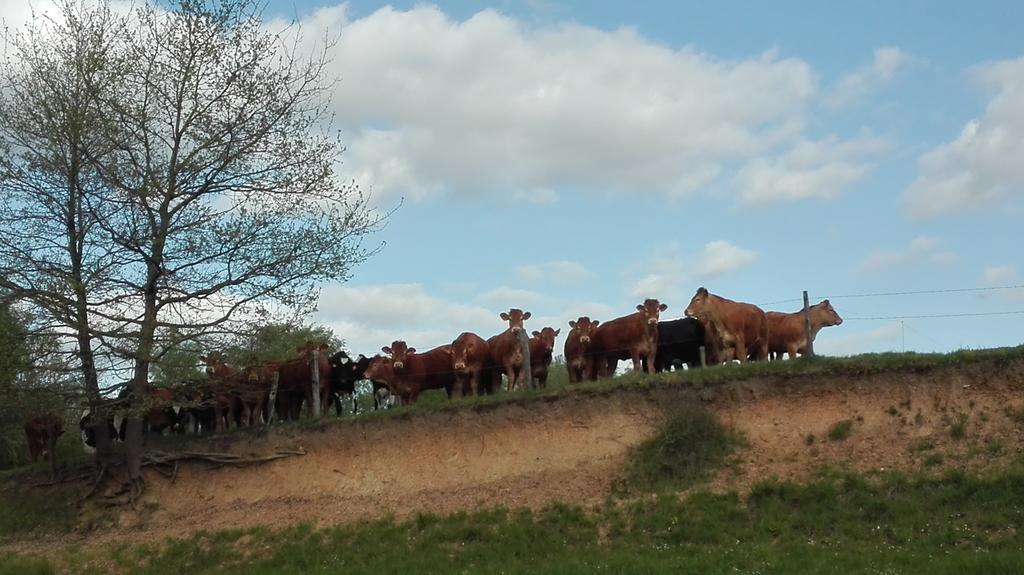 Valderies Charmante Maison A La Ferme מראה חיצוני תמונה
