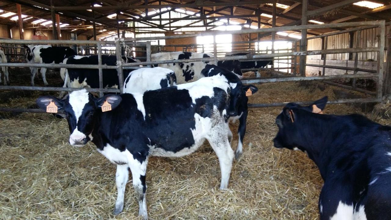 Valderies Charmante Maison A La Ferme מראה חיצוני תמונה